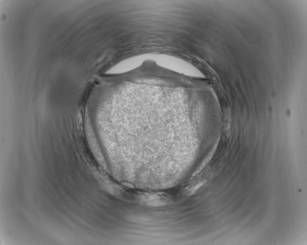 X0000085800523200704131924