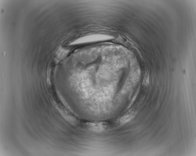 X0000085800524200704131924