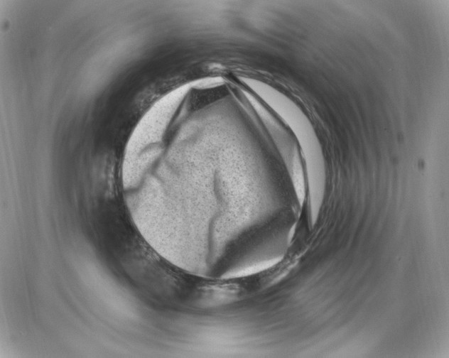 X0000085800525200704131924