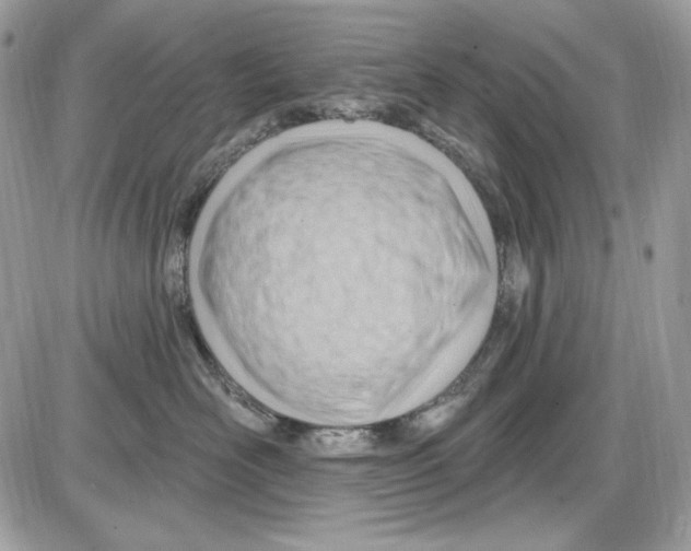 X0000085800526200704131924