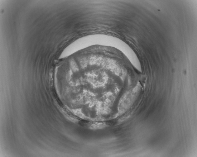 X0000085800527200704131924