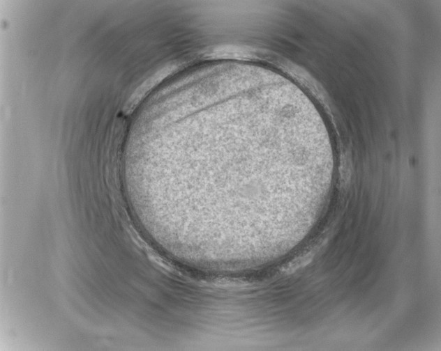 X0000085800529200704131923