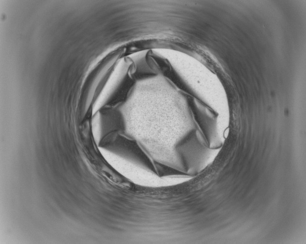 X0000085800532200704131923