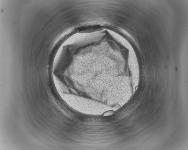 X0000085800535200704131923