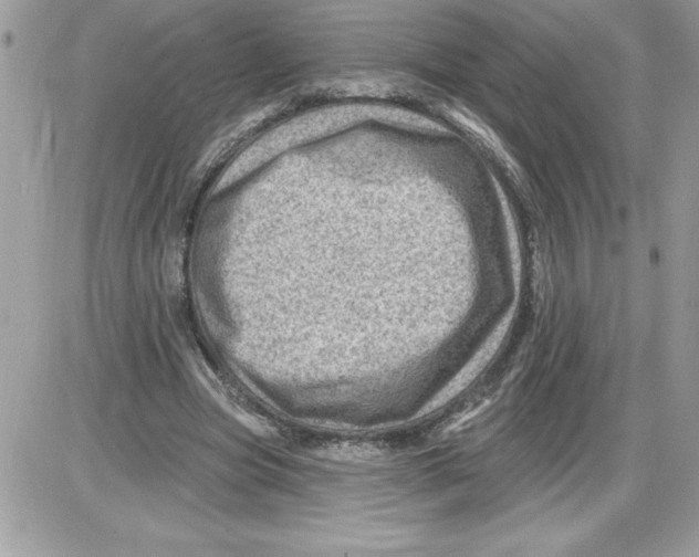 X0000085800537200704131923