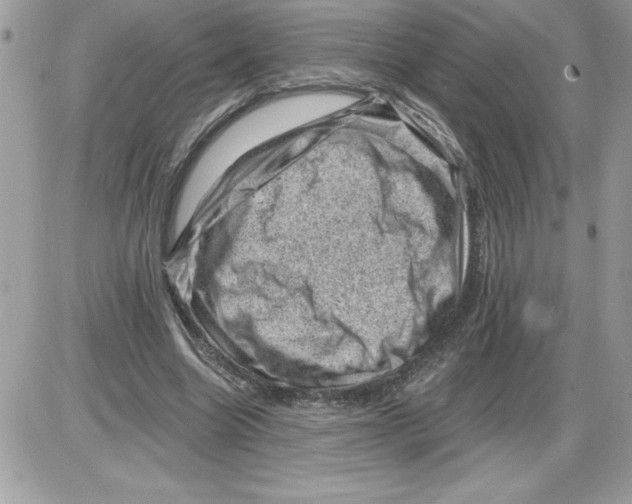 X0000085800538200704131923