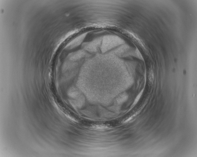 X0000085800540200704131923