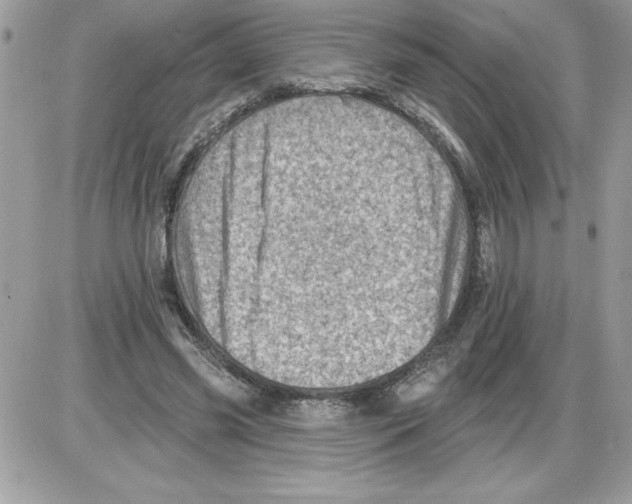 X0000085800541200704131923