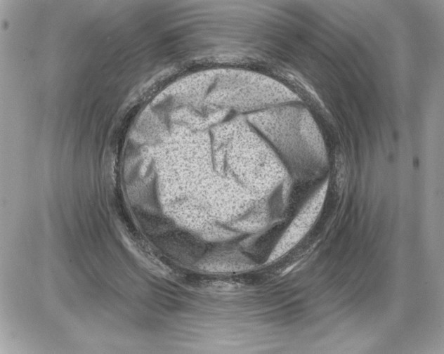 X0000085800542200704131923