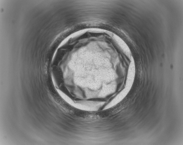 X0000085800543200704131923