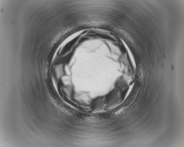 X0000085800544200704131923