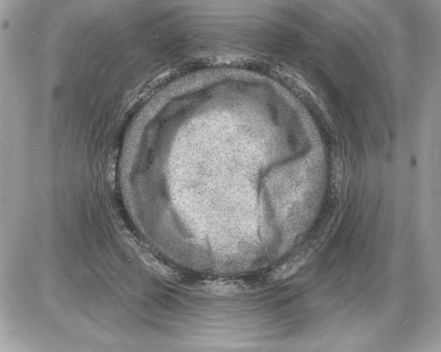 X0000085800545200704131923