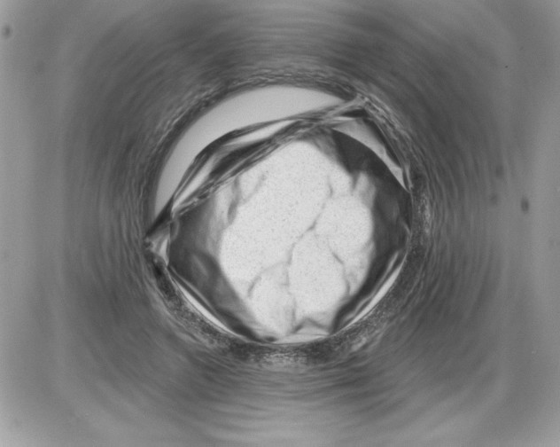 X0000085800546200704131923