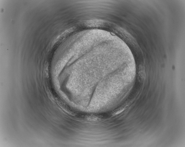 X0000085800547200704131923