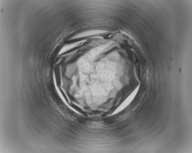 X0000085800548200704131924