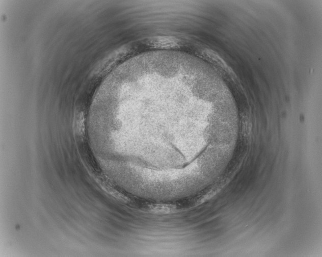 X0000085800549200704131924