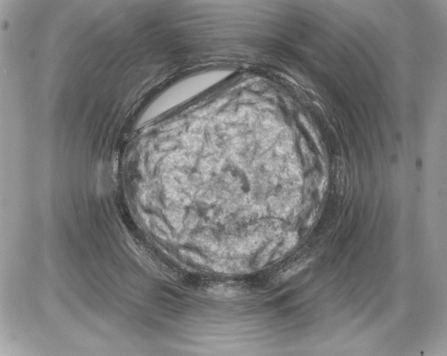 X0000085800550200704131924