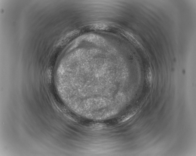 X0000085800551200704131924