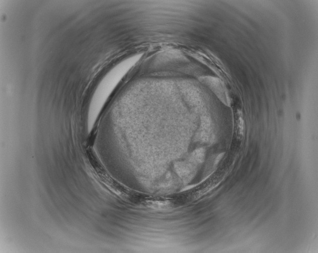 X0000085800552200704131924