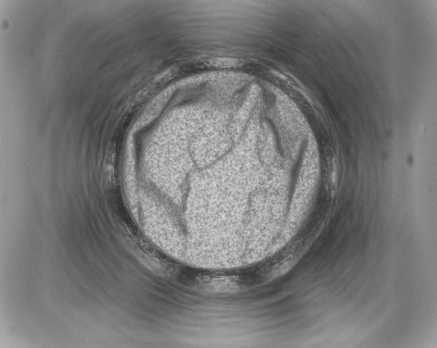 X0000085800553200704131924