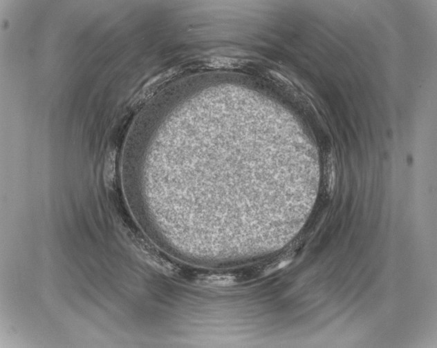 X0000085800554200704131924