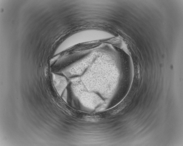 X0000085800556200704131924