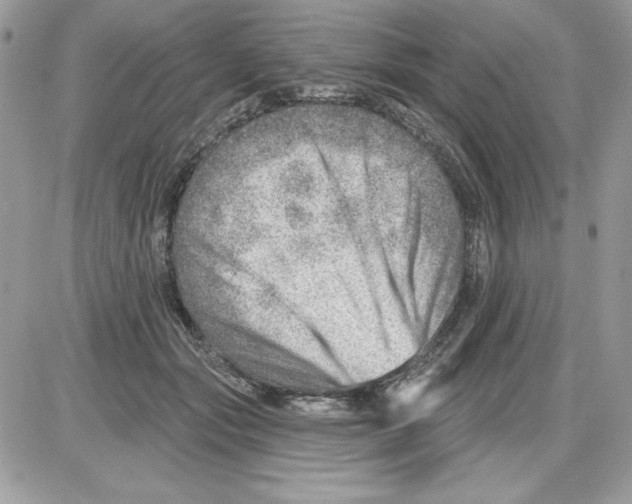 X0000085800557200704131924