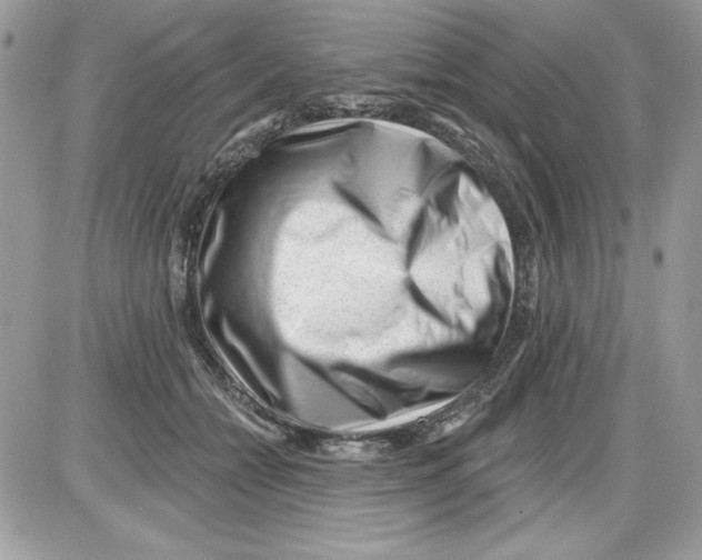 X0000085800558200704131924