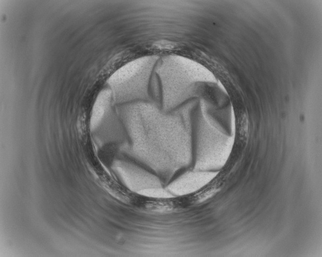 X0000085800559200704131924