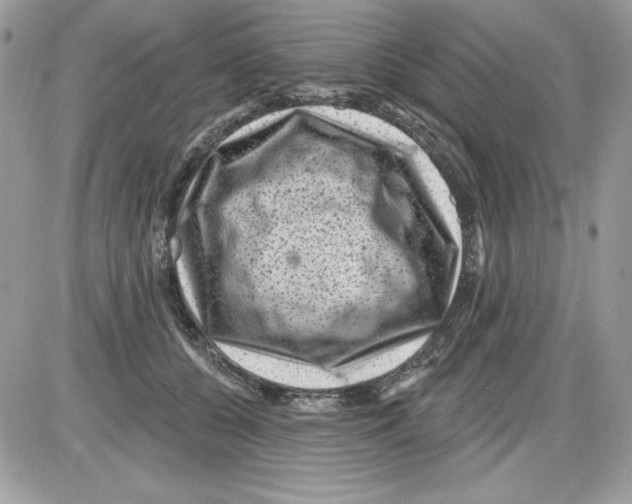 X0000085800560200704131924