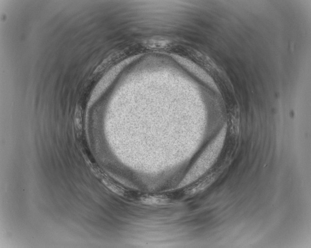 X0000085800561200704131924