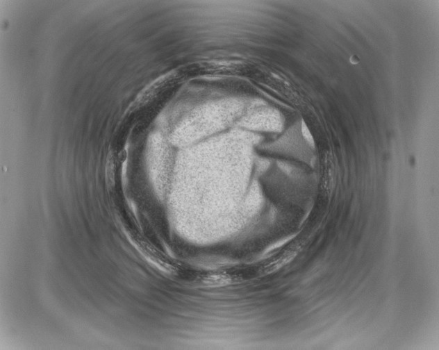 X0000085800562200704131924