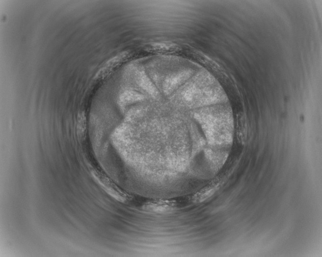 X0000085800563200704131924