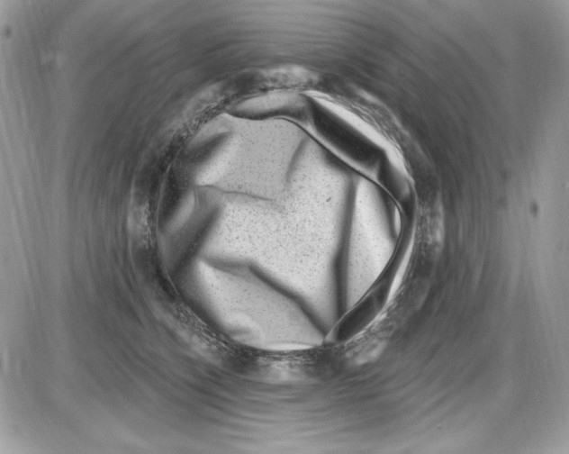 X0000085800564200704131924