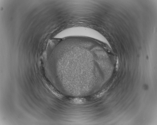 X0000085800566200704131924