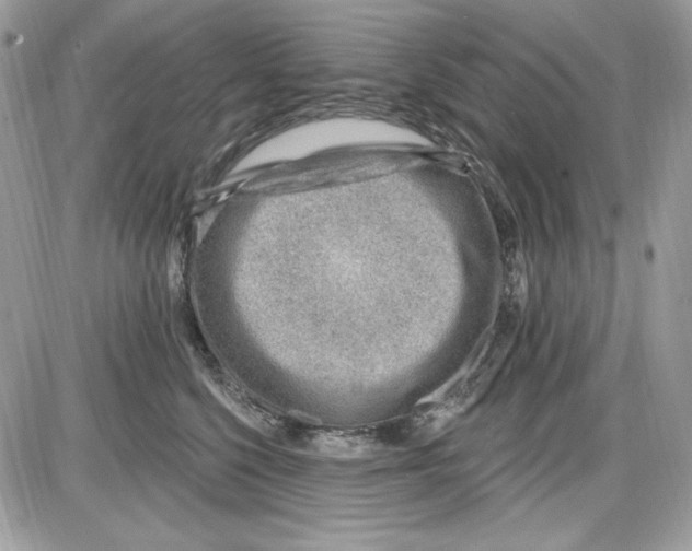 X0000085800568200704131924