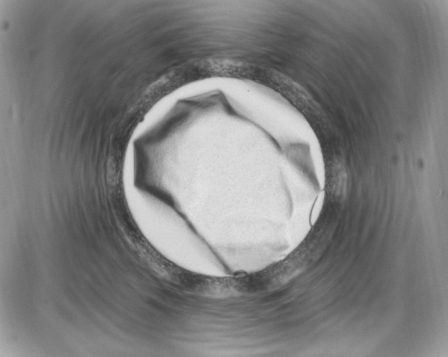 X0000085800569200704131924