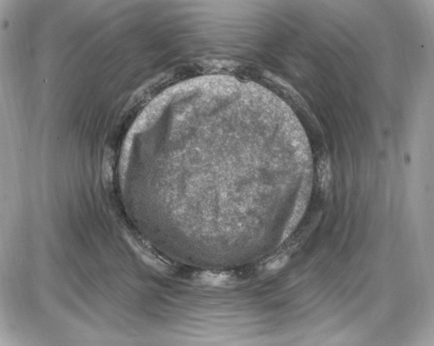 X0000085800570200704131924