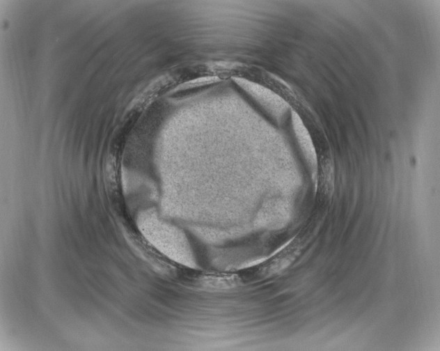 X0000085800571200704131924