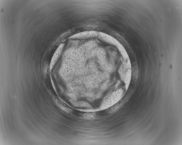 X0000085800574200704131924