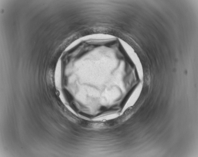 X0000085800575200704131924