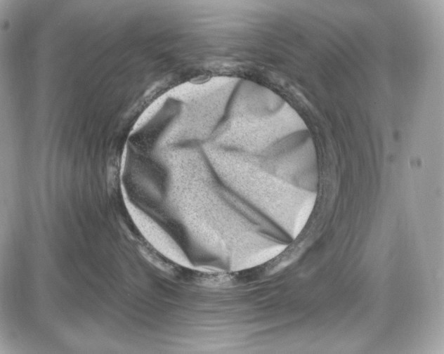 X0000085800576200704131924