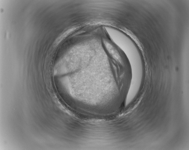 X0000085800577200704131923