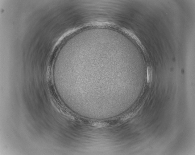 X0000085800579200704131923