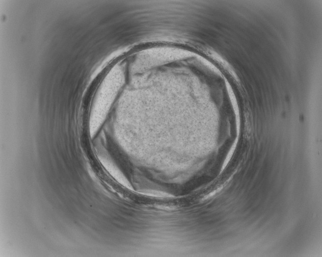 X0000085800580200704131923