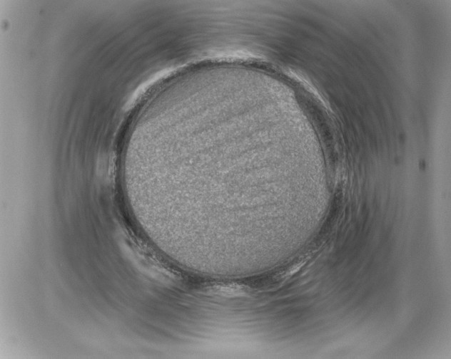 X0000085800583200704131923