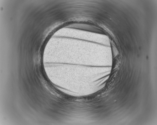 X0000085800584200704131923