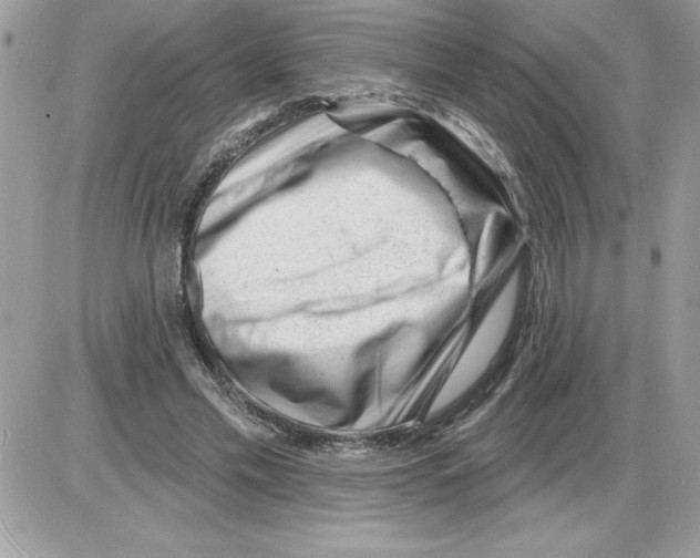 X0000085800589200704131923