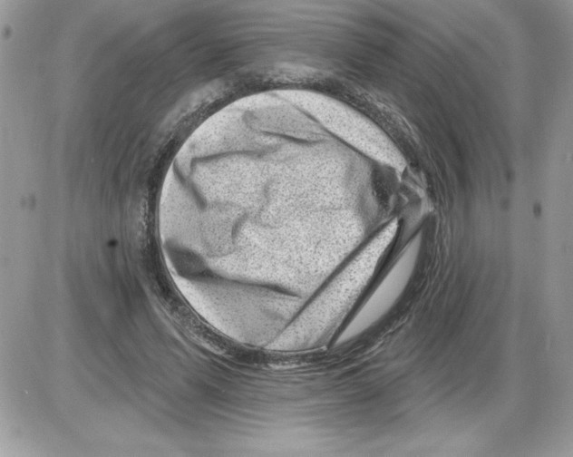 X0000085800591200704131923