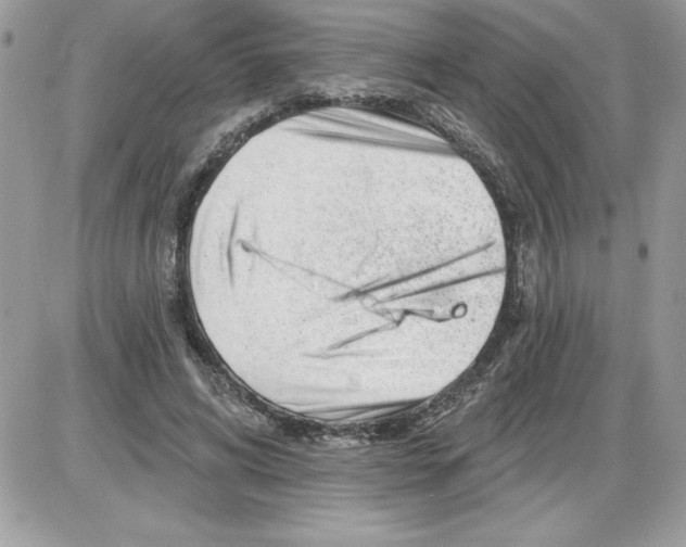 X0000085800592200704131923